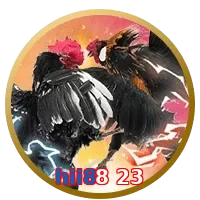 hii88 23